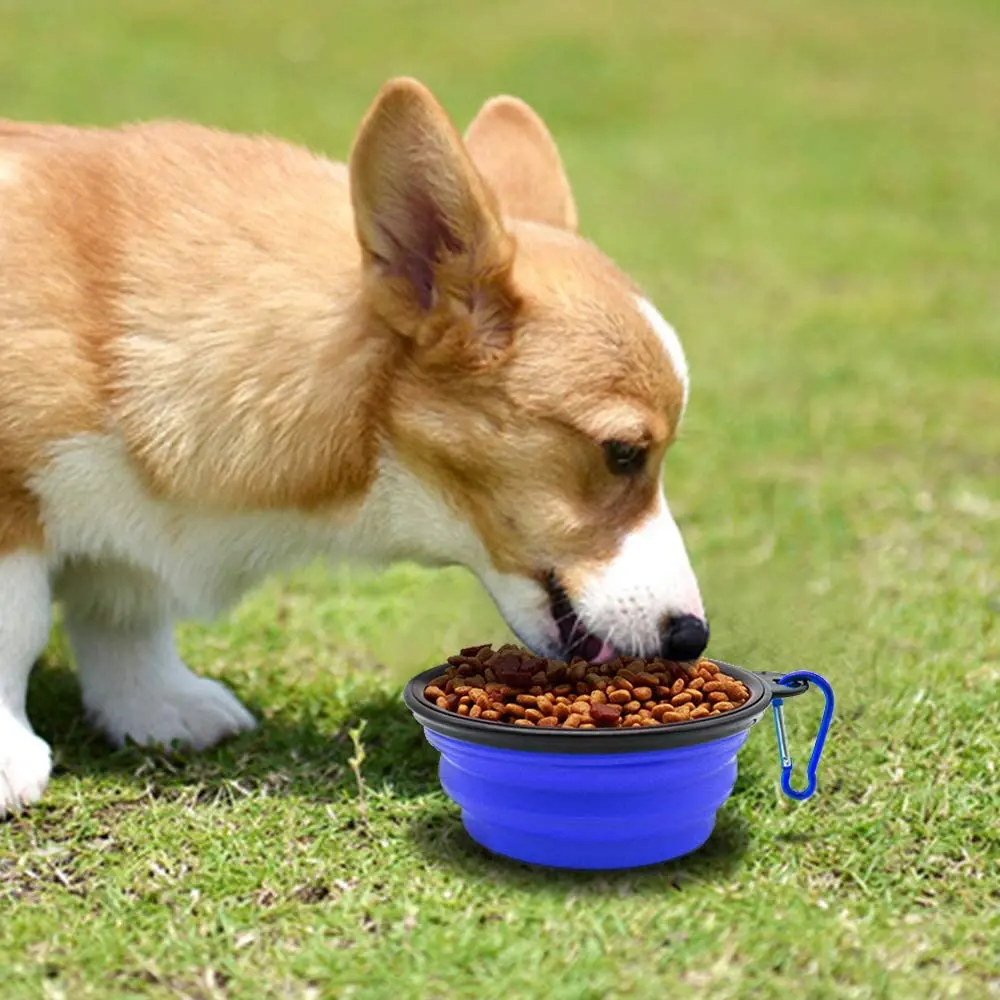 5" Portable and Foldable Small Dog BowlBlue (set of 5) Furry Pals